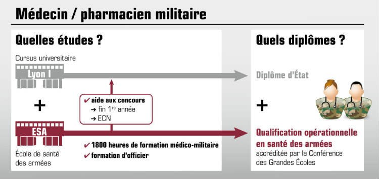 infographie-esa-quelles-etudes-pour-quels-diplomes